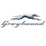 Greyhound